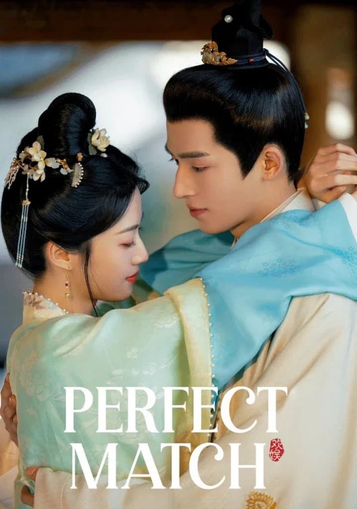 Perfect Match poster