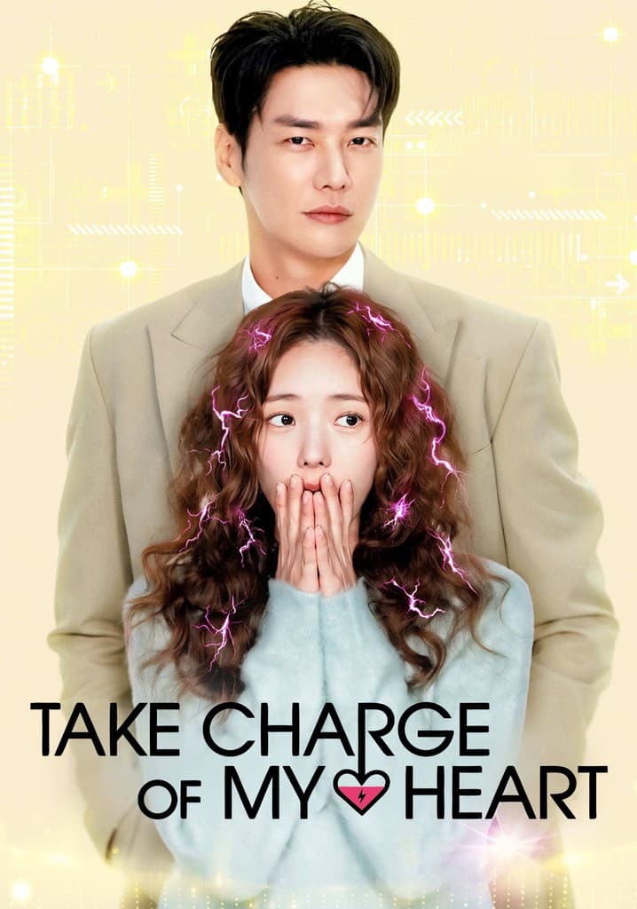 Take Charge of My Heart poster